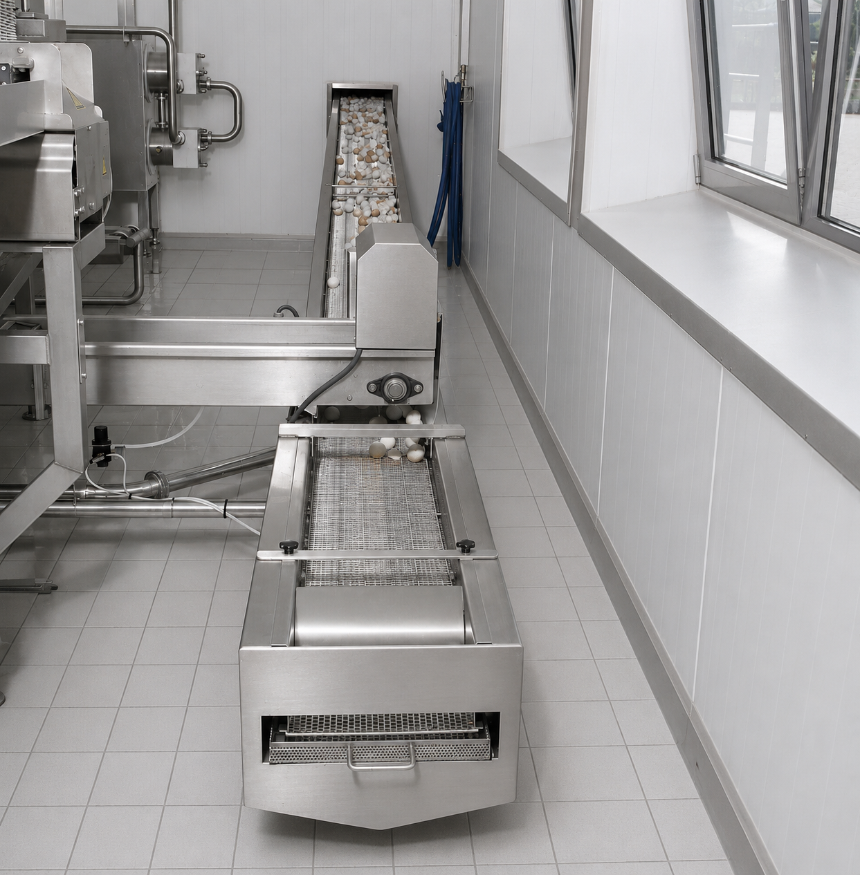 Eggshell conveyor1